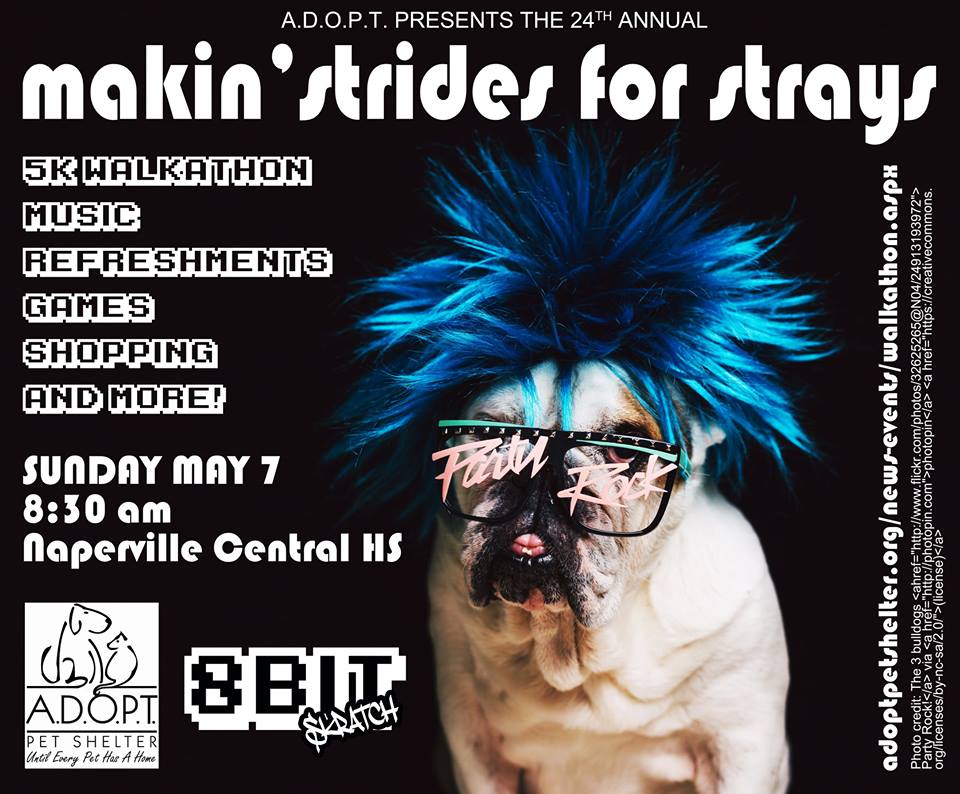 18221841_470378179968210_6986971995263021995_n