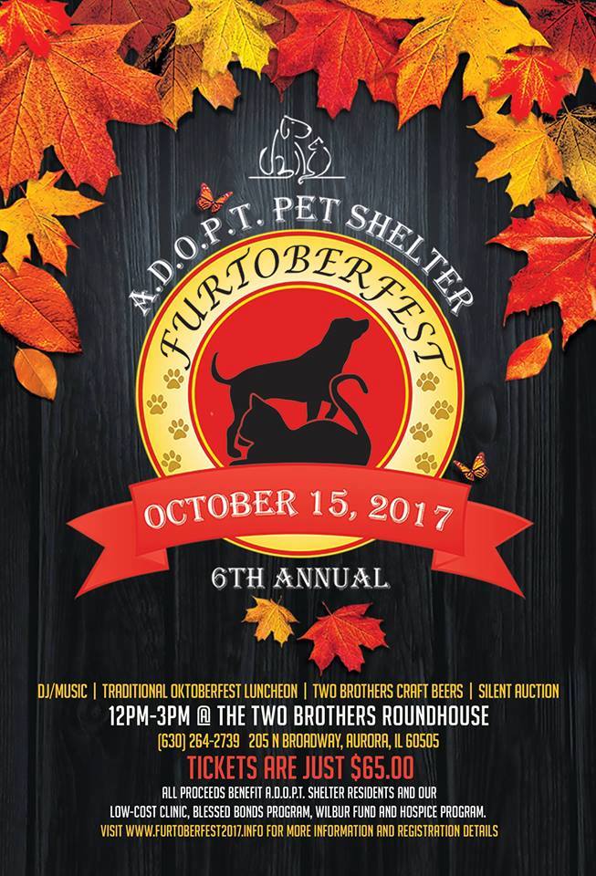 22221820_543716985967662_2333095094108510681_n